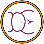 1 (10)