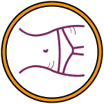 1 (12)