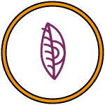 1 (13)